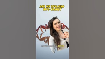 🦀 Are we all destined to turn into crabs?