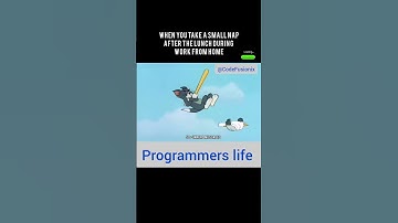 Work from home life #shorts #programmers