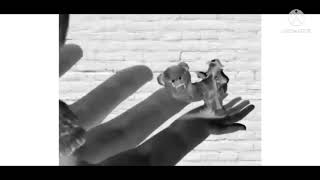 Bits And Bob In B&W Backward