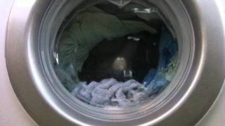 Candy Evo4 Mix Power System start of wash