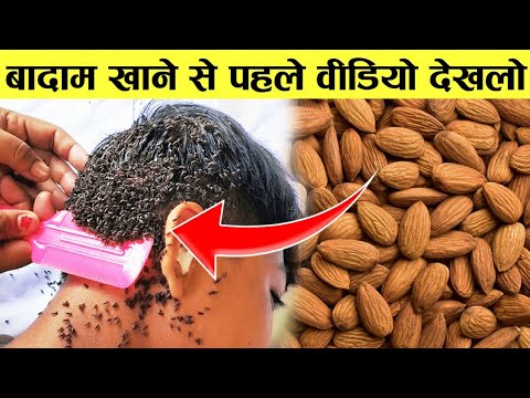 वीडियो: क्या पिस्ता बिल्लियों के लिए हानिकारक हैं?