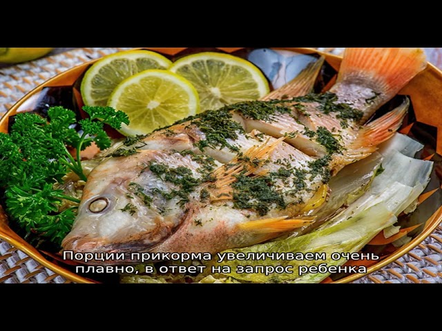 С какого возраста и какую рыбу можно давать рыбу ребенку?