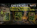 tobacco flowers green hell GREEN HELL Part 5 Gameplay | Collecting Molineria leaf, Tobacco leaf and  Unknown herbs at midnight