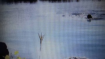 ジュラシックシャーク予告篇２