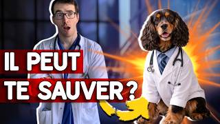 CE CHIEN PEUT-IL VRAIMENT TE SAUVER D’UN ARRÊT CARDIAQUE ?