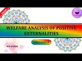Welfare Analysis of Positive Externalities