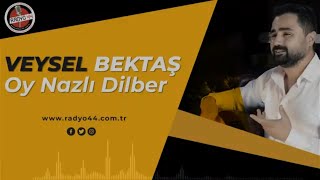 VEYSEL BEKTAŞ - Oy Nazlı dilber Resimi