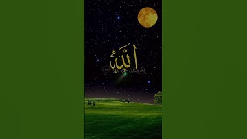 قران كريم راحه نفسيه #duet #المشيشي #اكسبلور #دويتو #تيك_توك #beautiful #تليگرام #الخليج