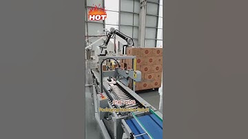Packaging Machine Robot (Palletiser) #palletizing #palletizingrobot
