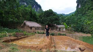 Reclaimed terraced fields and irrigation system - trial planting of wet rice