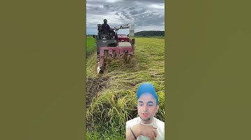 Amazing Rice Harvesting Machine in Action |Modern Farming Technology #RiceHarvesting#Farming Machine