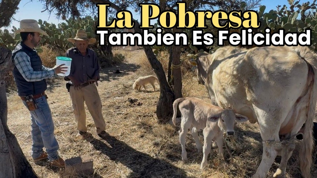 Lo Que Uno Aprende Lo Aprende De Sus Padres, Mis Papas Me Dieron Buenos Consejos.❤️