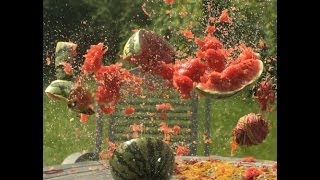 Exploding Targets, Watermelons with an AR15