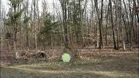 MacDev Droid - Tadao Yakuza Board