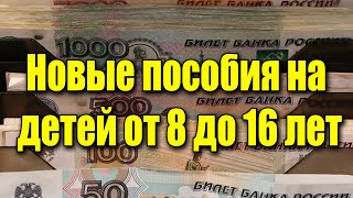 Минтруд уточнил размер нового пособия на детей от 8 до 16 лет