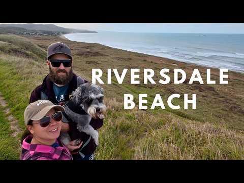 LIFE ON THE ROAD | days like this make van life worth it