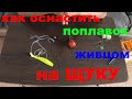 Как оснастить живцом поплавок на щуку.Монтаж снасти на живца.Снасть на щуку. как насаживать живца