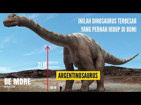 Wow ! Inilah Dinosaurus terbesar pada masa nya ! Fakta Menarik Argentinosaurus !!