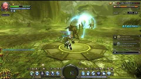 Dragon Nest Valley of Blindless Bug