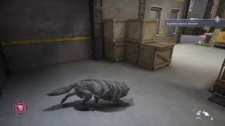 Werewolf Apocalypse Earthblood Avoid Cameras Detection Get to the Door screenshot 5