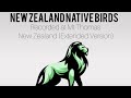 New zealand native birds mt thomas extended version newzealand relaxing nativebirds nature