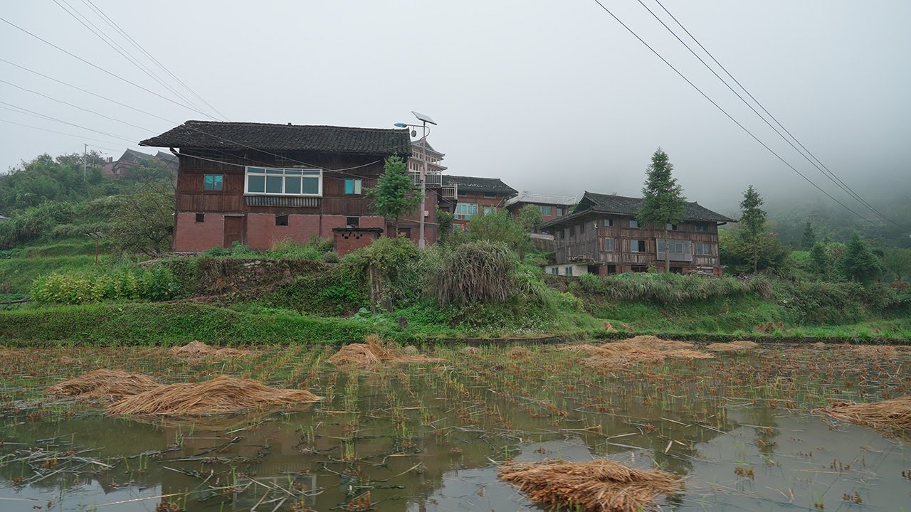 China rural village walk. Morning mist shrouds the village on terraced fields. Longtang, Guizhou・4K
