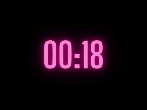 31 Second Timer with Alarm