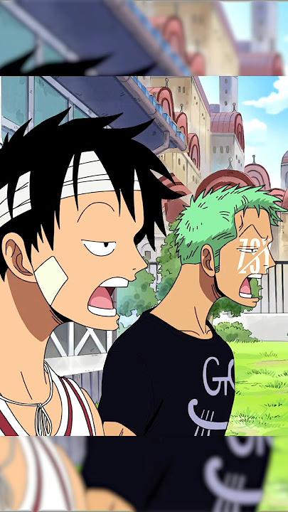 Zoro and Luffy really don’t care 🤣