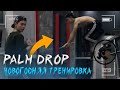 ПАЛМ ДРОП НА ТУРНИКЕ | Новогодняя Тренировка Динамики | NEW YEAR WORKOUT