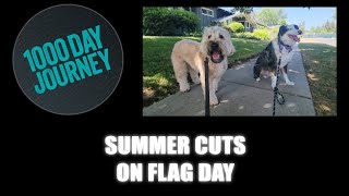 1000 Day Journey 0697 Summer Cuts On Flag Day