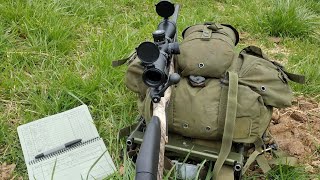Savage 110 predator 204 Ruger
