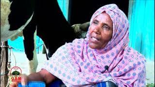 Misooma Aanaa Ciroo || Fayyaa Dayi