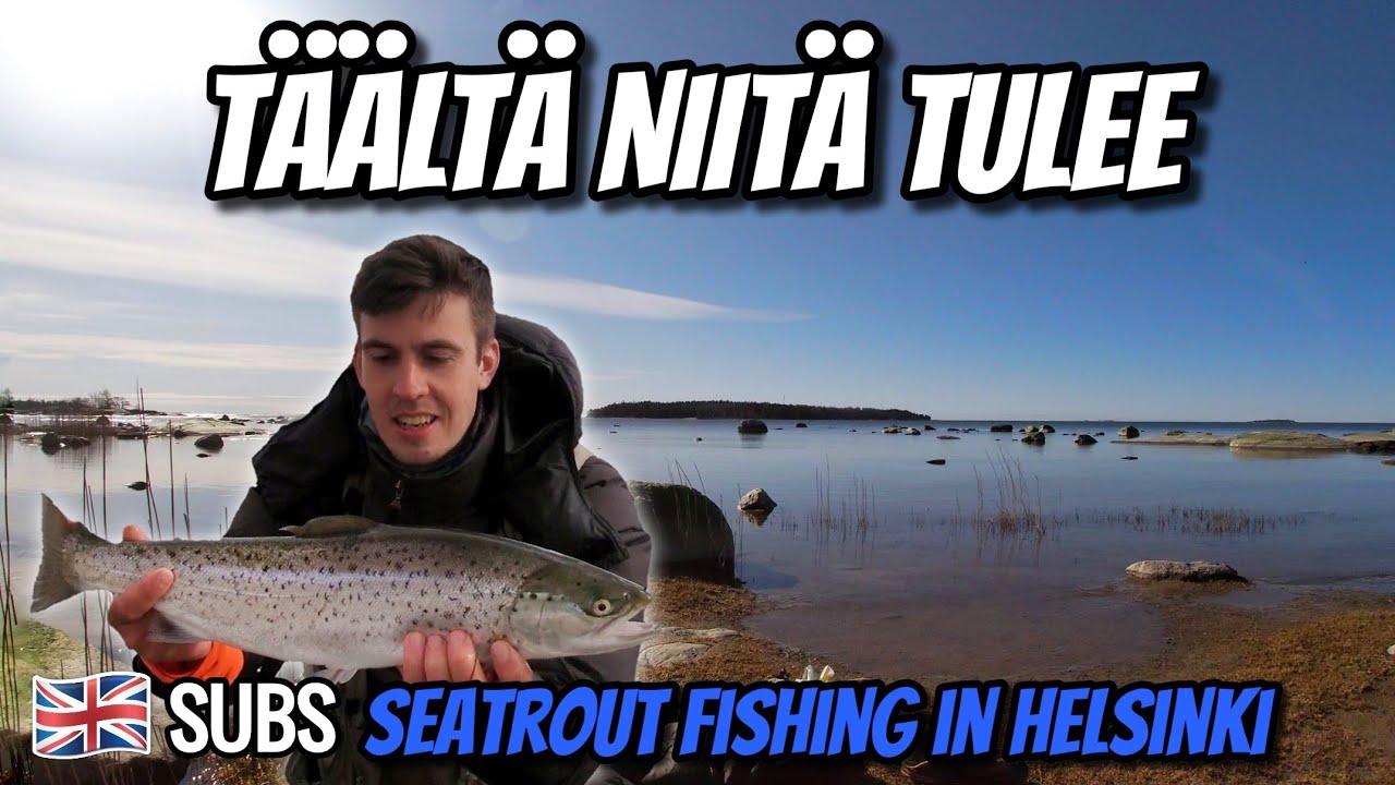 Meritaimenen Kalastusta Helsingissä Lauttasaaressa