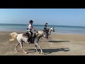 Let’s ride at South Arabian Horse Club