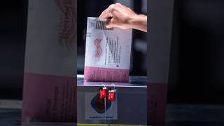 DHS Said Nevada Had 16,000 Non-Citizen Voters — They CONFIRMED 185