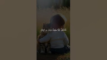﴿وما كان الناس إلا امة واحدة ﴾ 🤍 القارئ عبد الرحمن مسعد🤍 سورة يونس #قرآن #اكسبلور