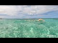 Caribbean swimming