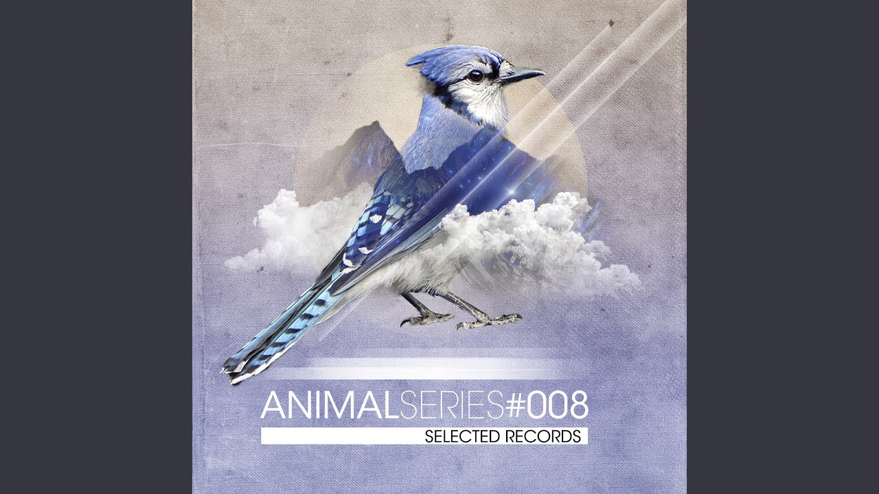 Watch Kring on YouTube Watch Kring on YouTube