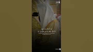 مقتطف من تلاوة فضيلة الشيخ #محمد_برهجي من فجر 22 ربيع الأول 1447هـ
