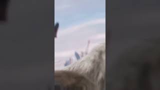 thor goats #thorloveandthunder #thor