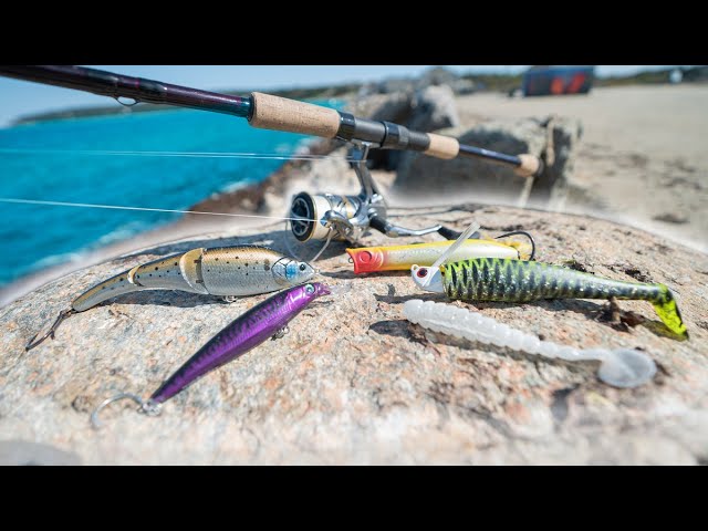 Lure fishing VS Bait fishing! Fishing Cape Cod Canal 