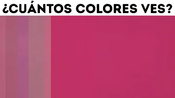 ¿Cómo se llama cuando puedes ver más colores?