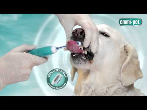 Videó: Hogyan kell dörzsölni a sebészethez (képekkel)