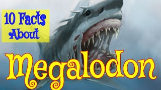 10 Interesting Facts About Megalodon #megalodon #megalodonshark #shark by I kiss Animal 2,138 views 1 year ago 3 minutes, 44 seconds