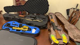 Guitar gun case what