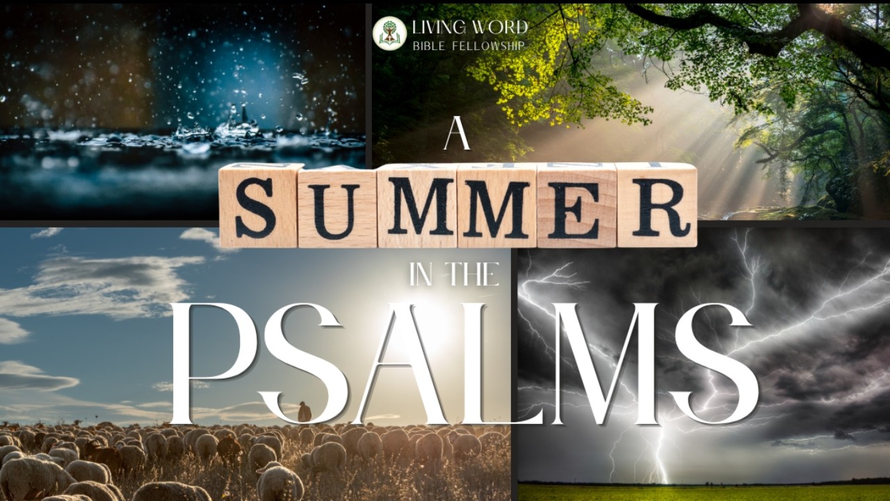 Summer in the Psalms |Part 8 | When Grace Finds the Guilty | Psalms 51:1-12