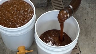 Extracting 192 pounds of honey...in December.