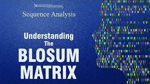 BLOSUM matrix