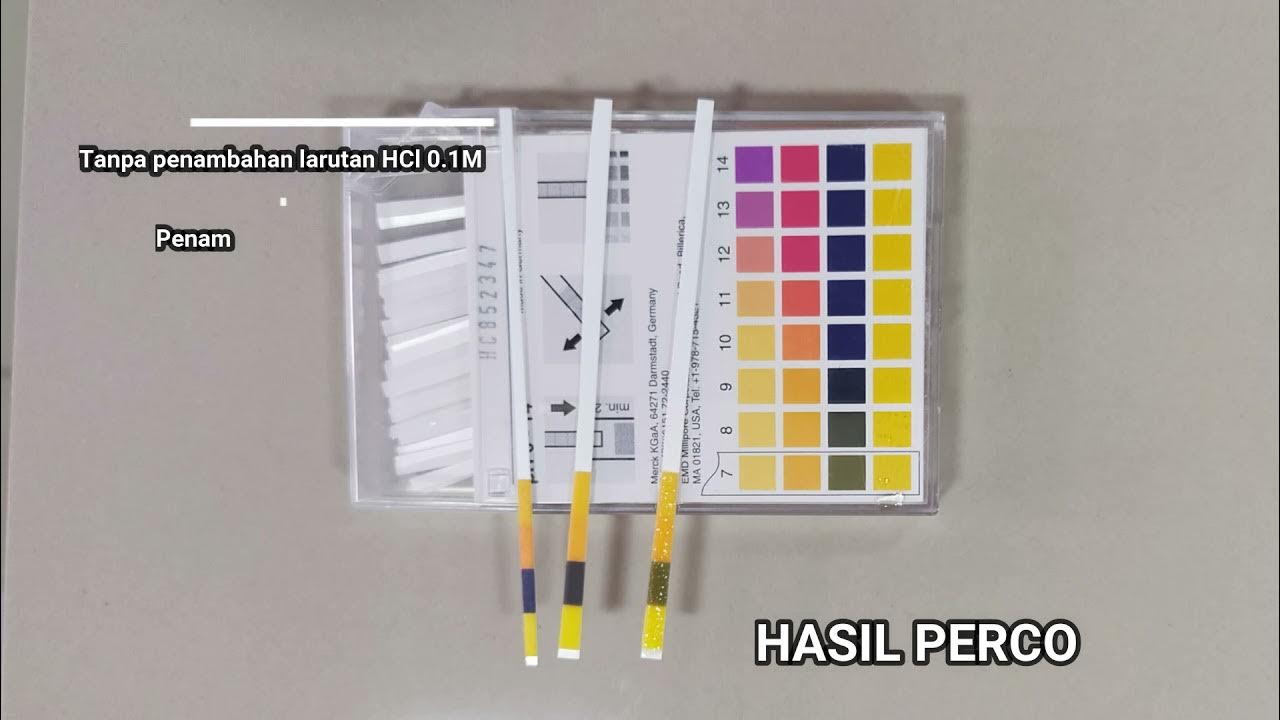 Pengujian Buffer Darah dan Buffer Sintetik YouTube