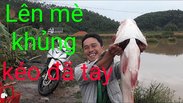 Câu cá lóc dưới chân đèo săn mây.tập 7: lên cá mè khủng.Nguyễn Phương Fhishing